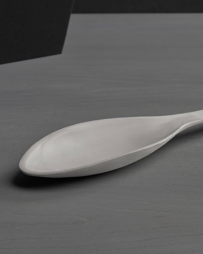Spoon CuilliÈre