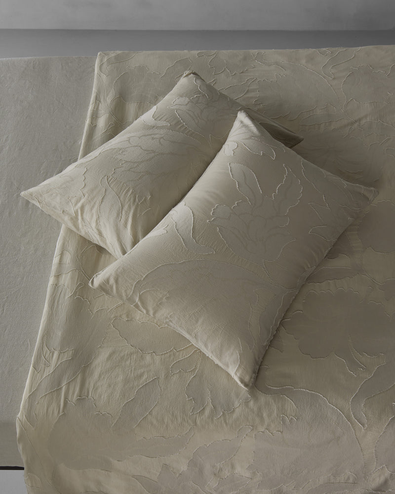 CHARIS-SET-FEDERE_MASTICE_01.jpg